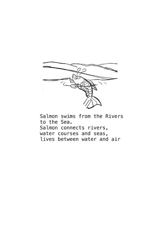 Salmon qualities.jpeg